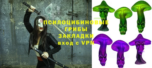 ГАЛЛЮЦИНОГЕННЫЕ ГРИБЫ Балахна