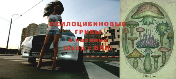 шишки Армянск